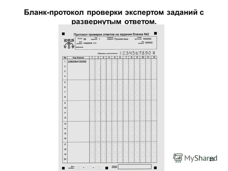 Образец заполнения протокола впр