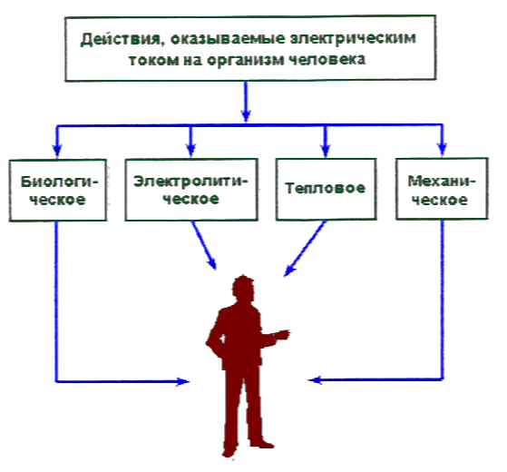 Электрический ток оказывает на организм человека