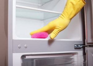 Чем отмыть плесень в холодильнике