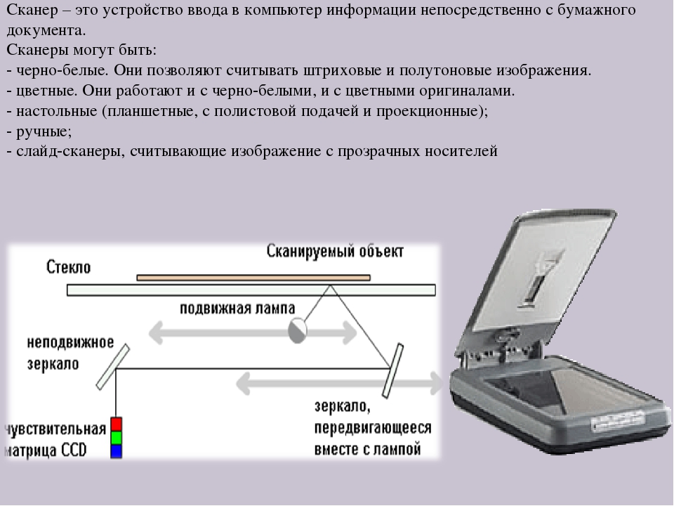 Сканеры вывод. Устройство сканера. Сканирующее устройство. Сканер устройство ввода. Сканер определение.