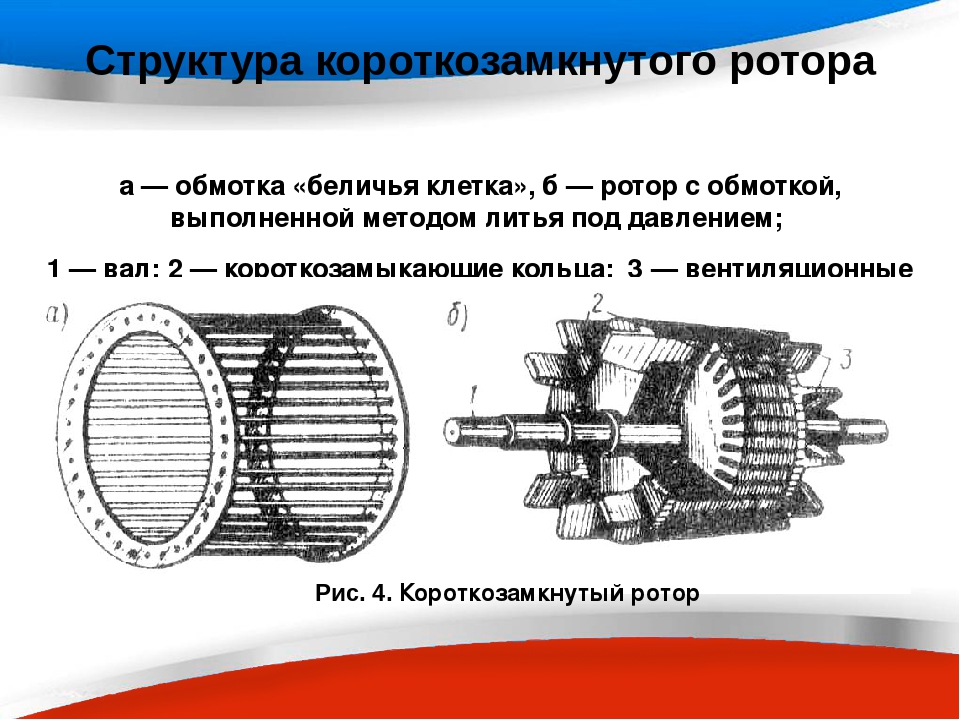 Расчет короткозамкнутого ротора