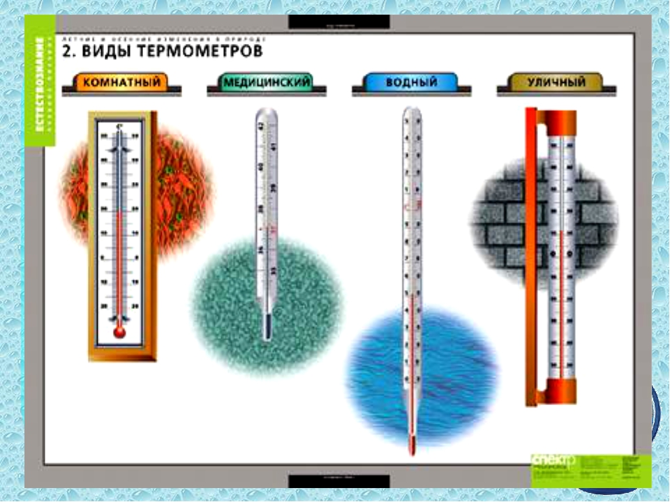 Термометр 1 класс. Виды термометров. Термометр окружающий мир. Виды термометров физика. Градусник окружающий мир.