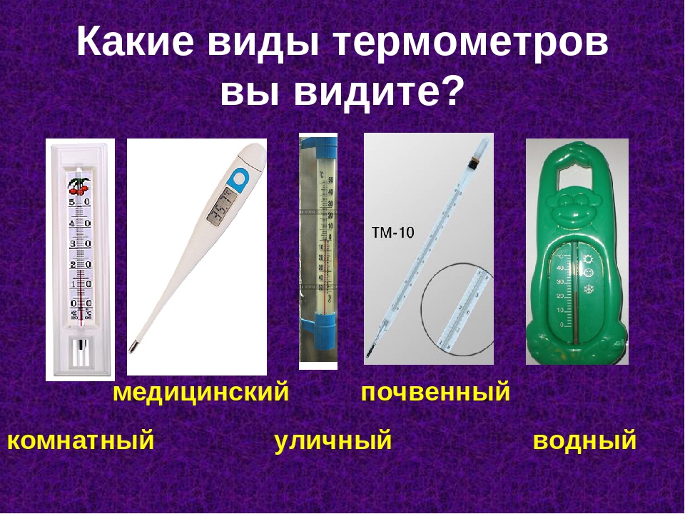 Виды термометров картинка