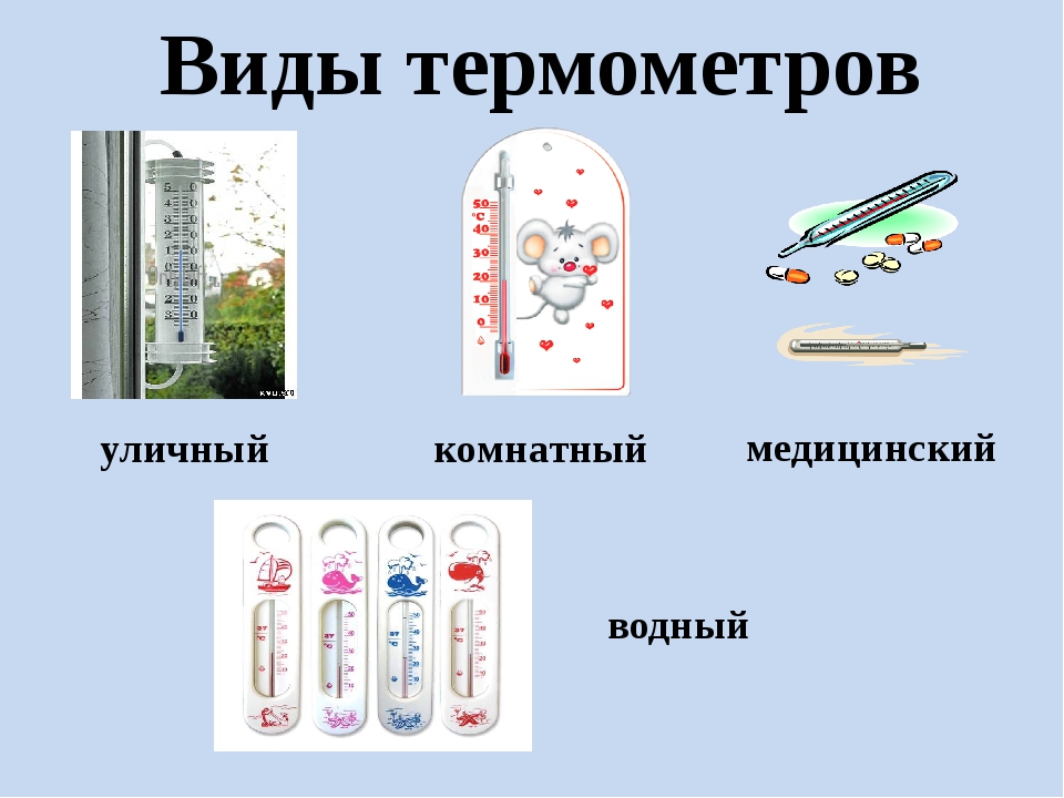 Из каких частей состоит термометр 2 класс. Виды термометров. Виды термометров уличный комнатный Водный медицинский. Термометры, уличный, комнатный, Водный,. Виды термометров 2 класс.