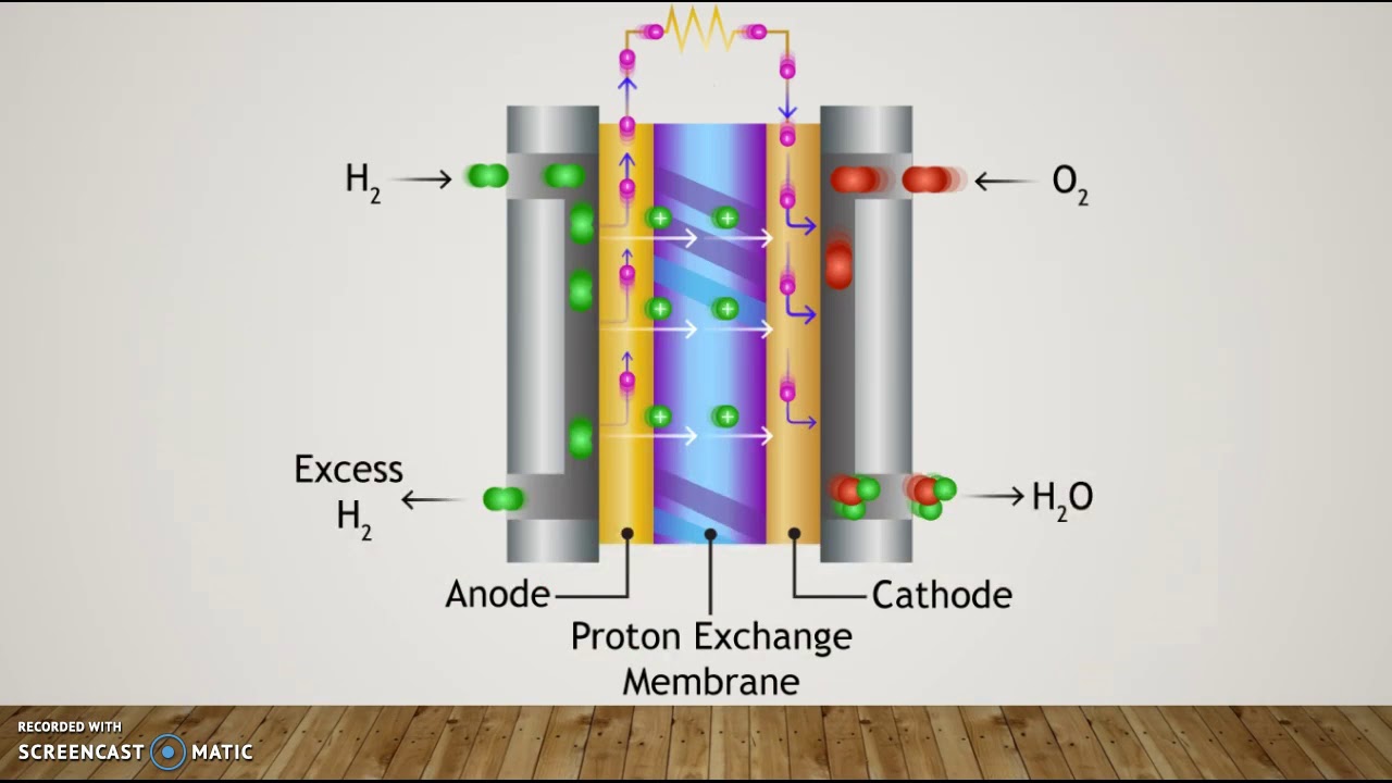 Энергия мембраны. Топливный элемент с протонообменной мембраной. Fuel Cell топливный элемент. Топливные элементы - ячейка (fuel Cell). Мембрана водородного топливного элемента.