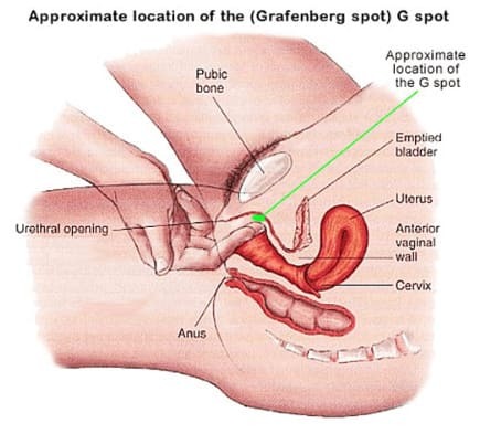 How to find the G-Spot - Where is the G-Spot