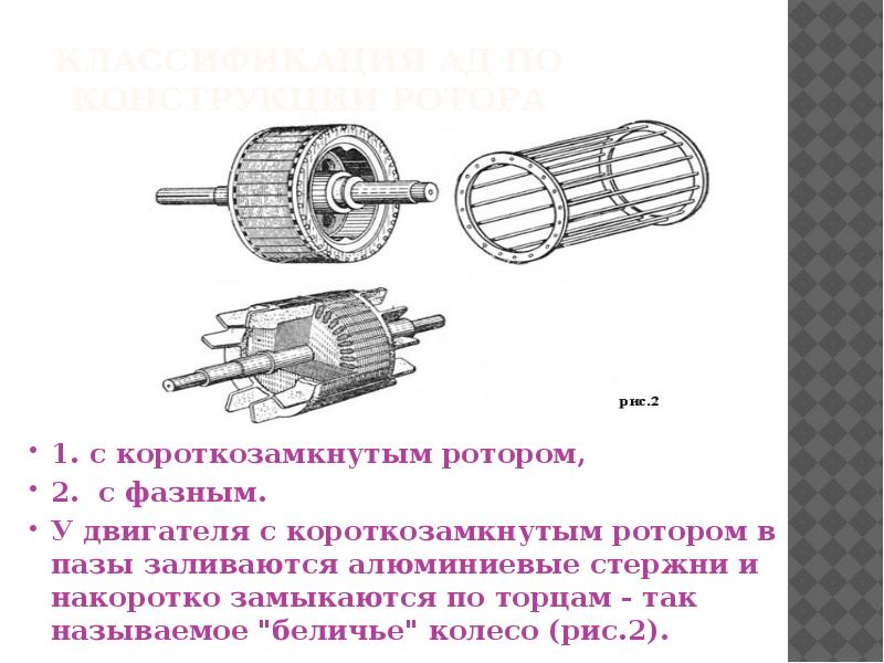 Расчет короткозамкнутого ротора