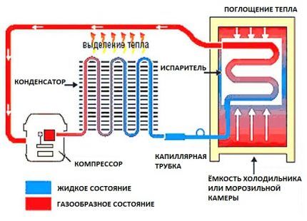 Схема устройства компрессорного холодильника