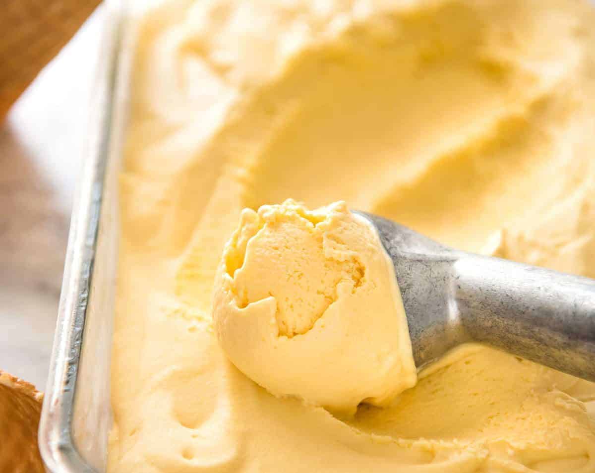 Homemade mango ice cream being scooped out of a tub with an ice cream scooper.