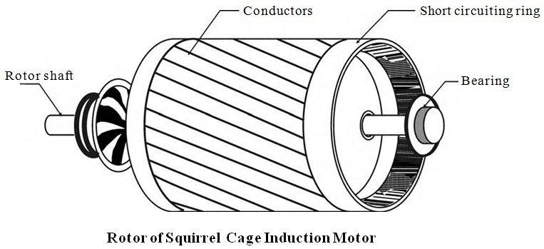 Squirrel Cage Induction Motor, squirrel cage motor, Squirrel Cage